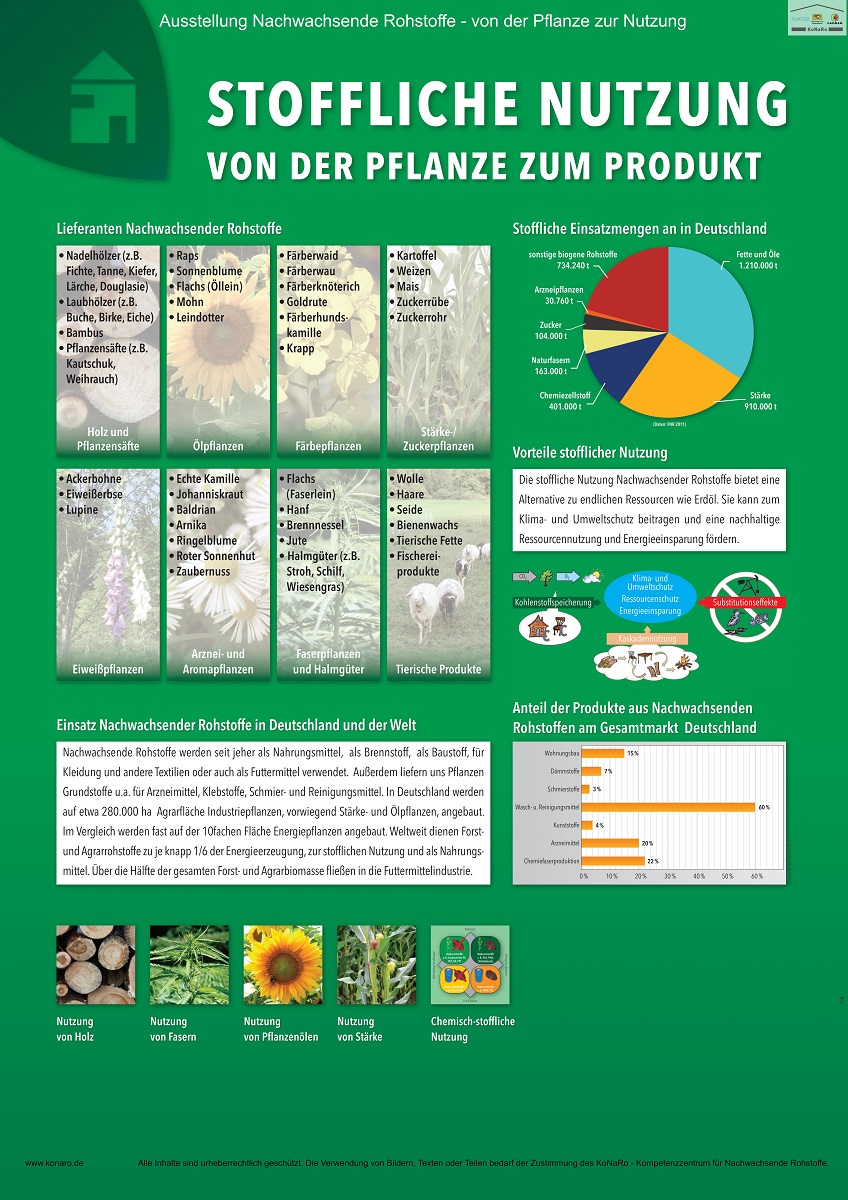 Inhalte Der Ausstellung „Nachwachsende Rohstoffe – Von Der Pflanze Zur ...